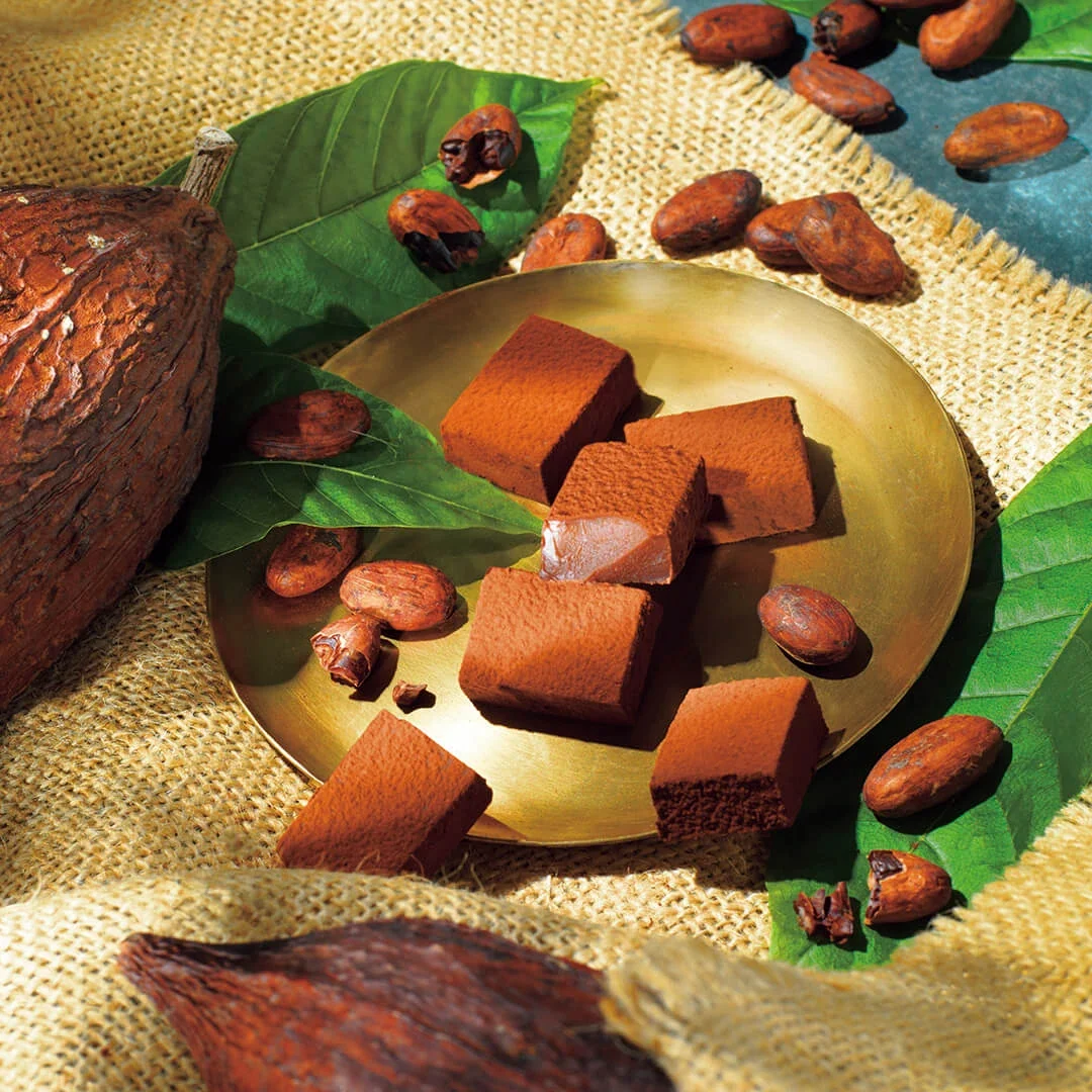 Nama Chocolate "ROYCE' Farm to Bar" - Image 3
